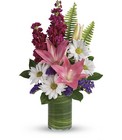Teleflora's Playful Daisy Bouquet from Flowers by Ramon of Lawton, OK